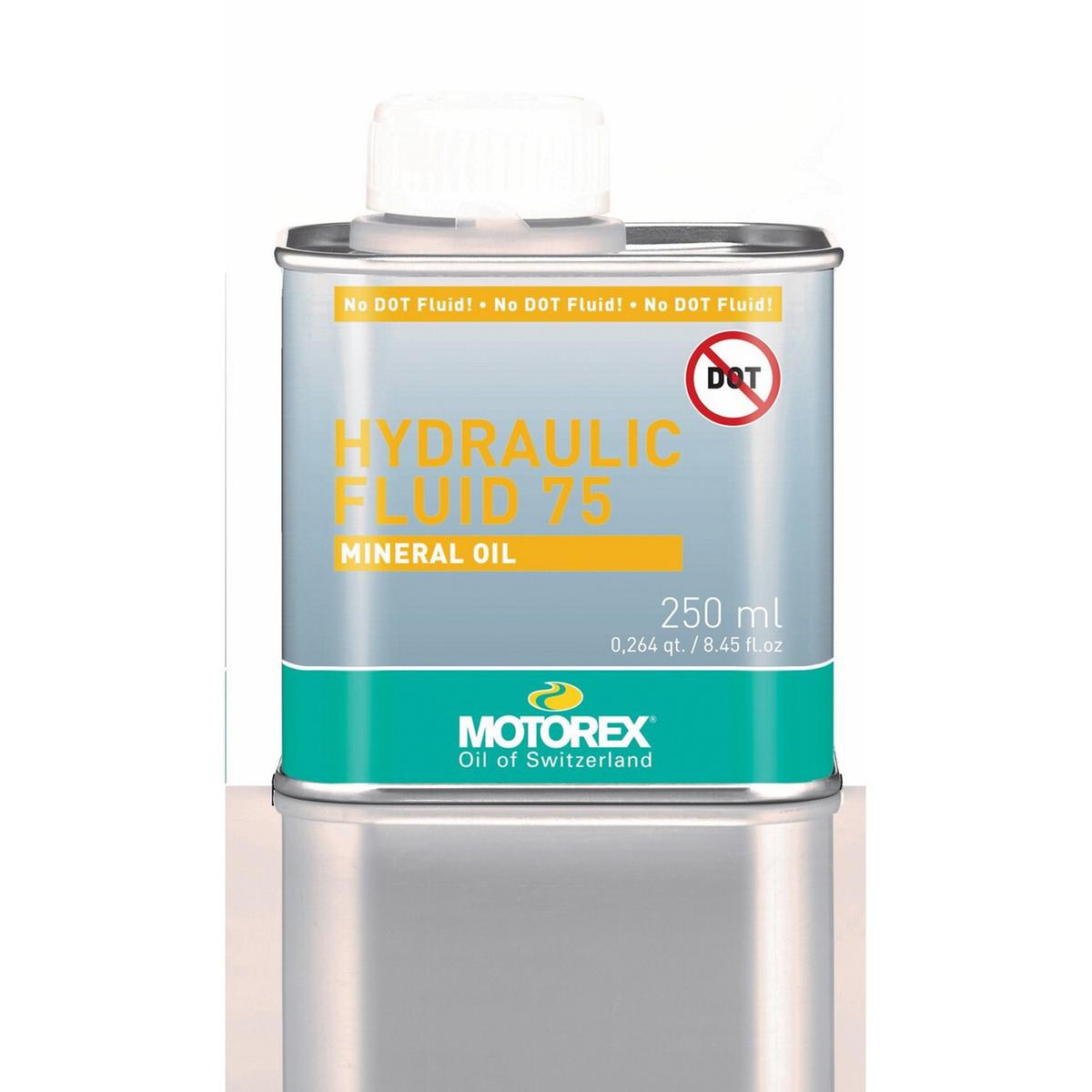 product/M/O/MOT308845.jpg