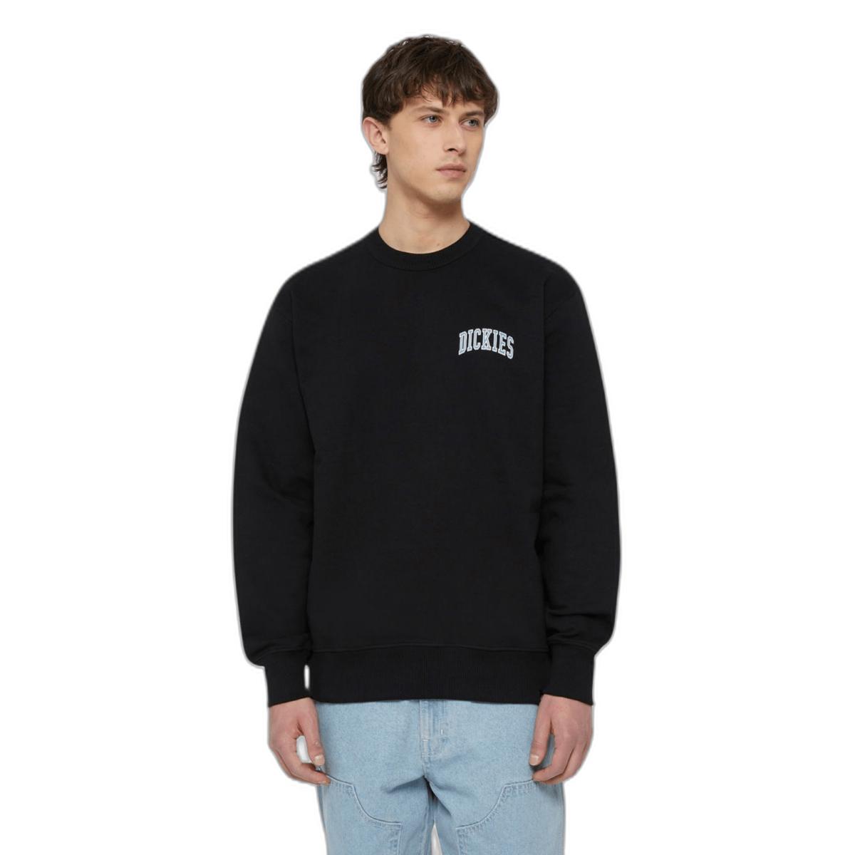 product/d/i/dickies_dk0a4ybgj391_1.jpg