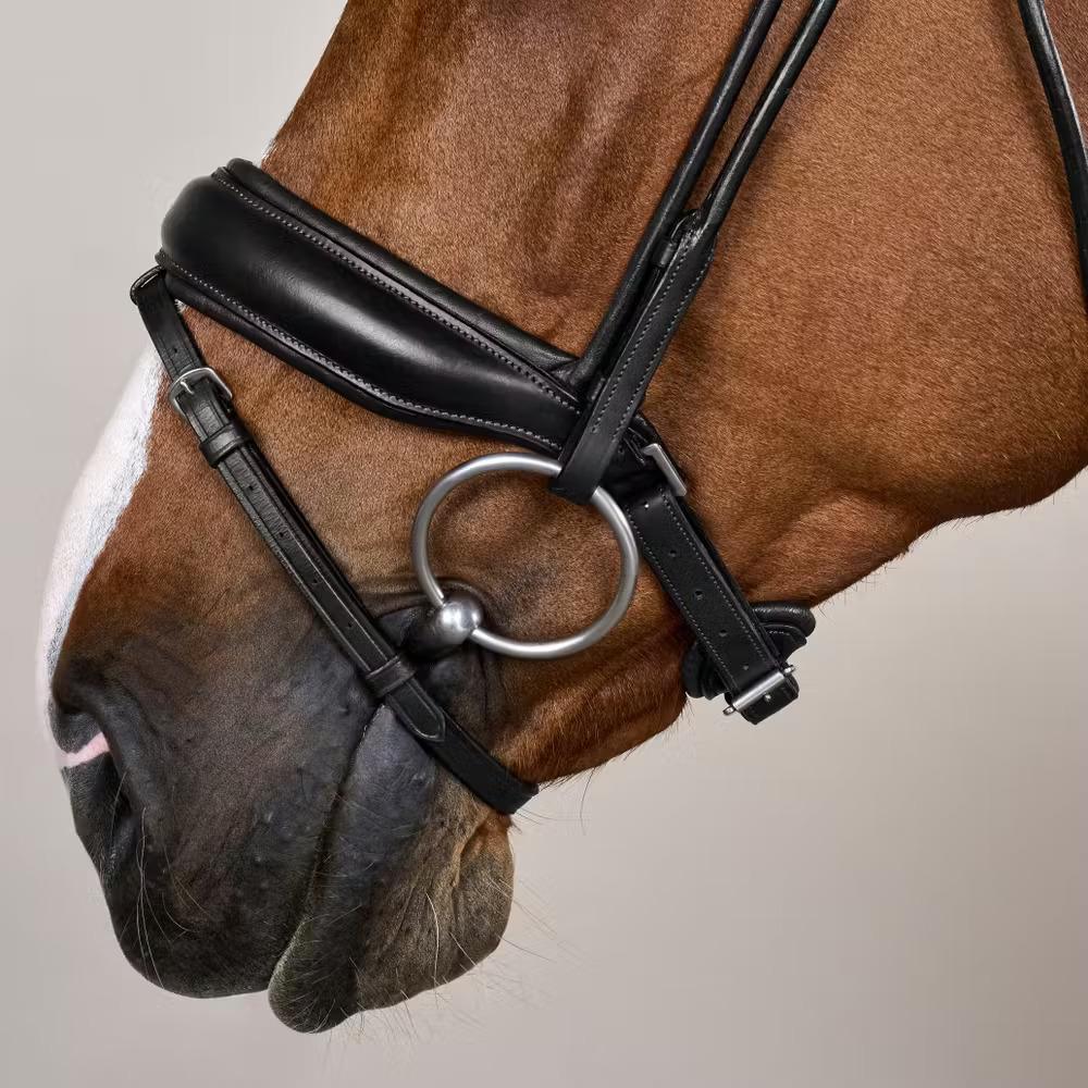 product/d/y/dy-on-so-10003-01-cob-black-3.jpg