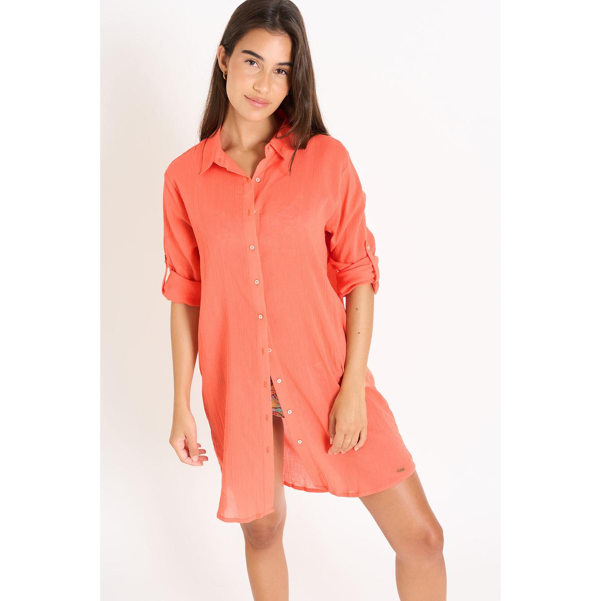 product/l/i/livia_24e-nolie_andrott_zik62_orange_4.jpg
