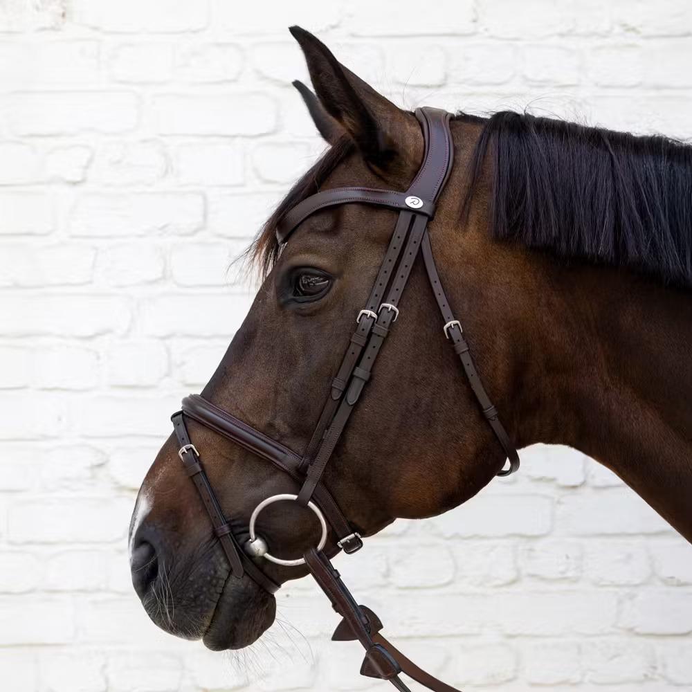 product/d/y/dy-on-so-10001-05-cob-brown-2.jpg