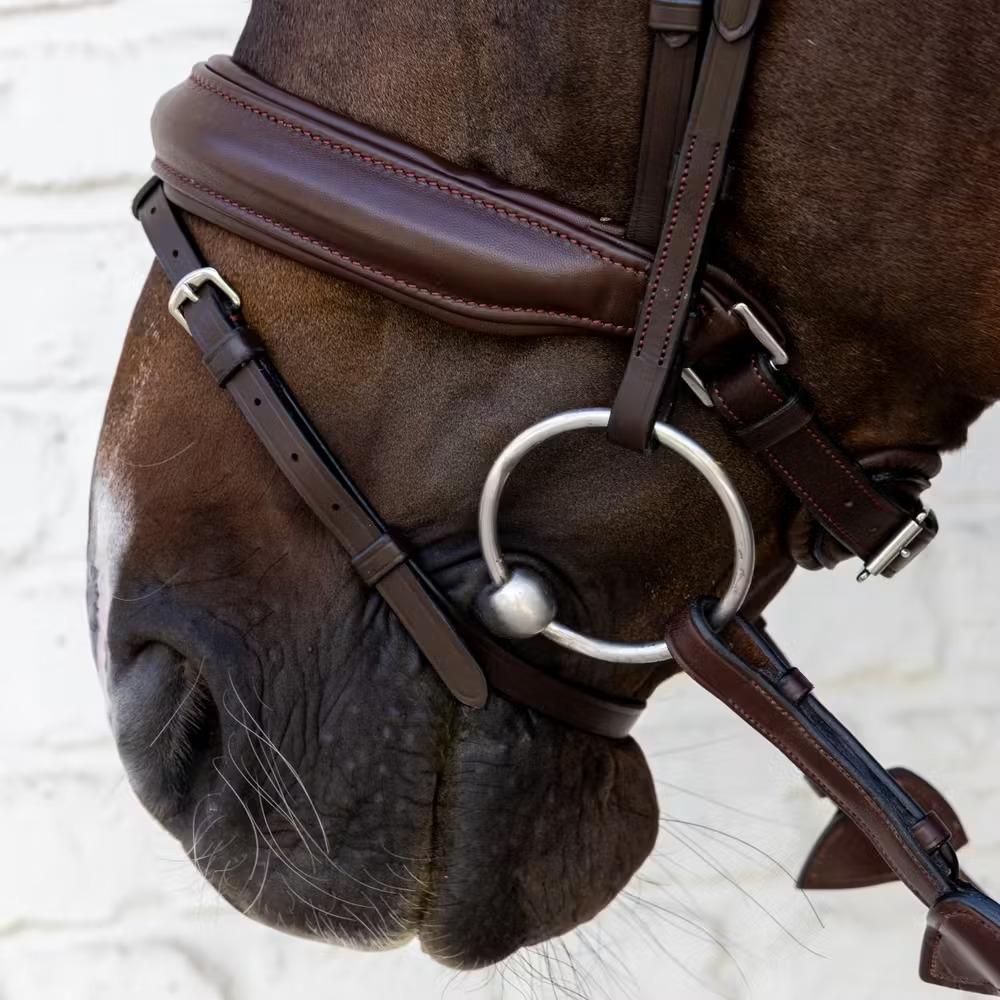 product/d/y/dy-on-so-10002-05-cob-brown-4.jpg