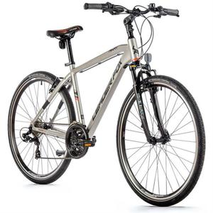 183752-185641-mountain-bike-leader-fox-away-2022-28-silver-one-size