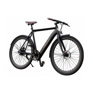 vae-a-mb-electric-bike-with-mudguard-alerion-matt-black