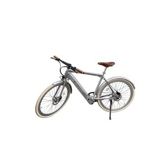 vae-a-sil-electric-bike-with-mudguard-alerion-silver