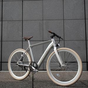 vae-a-sil-electric-bike-without-mudguard-alerion-silver