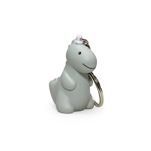 apjd307-keychain-ap-junior-jeroom-sage-3x4x5-5-cm