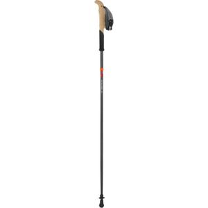 swix-sonic-pro-tail-carbon-sticks-black