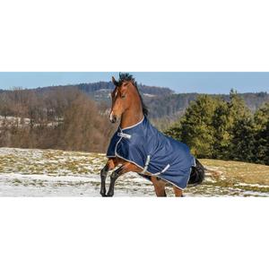 59625-62-weatherproof-outdoor-horse-rug-with-high-neck-bucas-freedom-turnout-150g-navy-silver