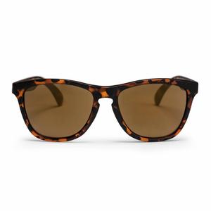 16131sd-sunglasses-chpo-brand-bodhi-medium-large-turtle-brown-brown-one-size