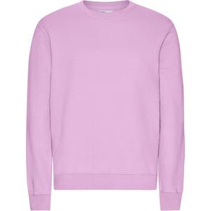 cs1005-cherryblossom-sweater-colorful-standard-classic-organic-cherry-blossom-cherry-blossom