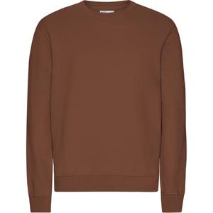 cs1005-cinnamonbrown-sweater-colorful-standard-classic-organic-cinnamon-brown-cinnamon-brown