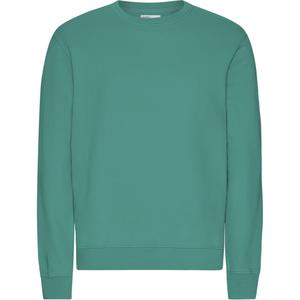 cs1005-pinegreen-sweater-colorful-standard-classic-organic-pine-green-pine-green