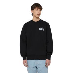 dk0a4ybgj391-sweatshirt-dickies-aitkin-black-coronet-blue
