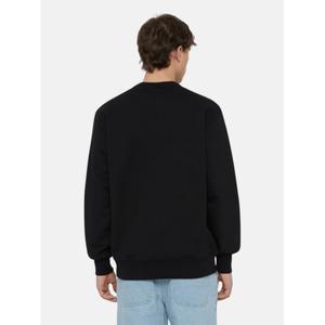 product/d/i/dickies_dk0a4ybgj391_2.jpg