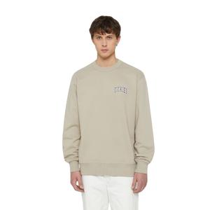 dk0a4ybgss01-sweatshirt-dickies-aitkin-sandstone