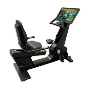 20713-exercise-bike-dkn-technology-rb-pro-black-64x173x137-cm