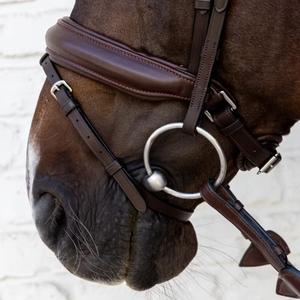 product/d/y/dy-on-so-10002-05-cob-brown-4.jpg