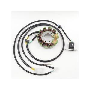 27106-original-adaptable-motorcycle-alternator-electrosport-honda-black-yellow-green-bronze-one-size