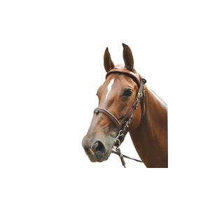 159000-tabac-riding-bridles-eric-le-tixerant-headset-tobacco-full