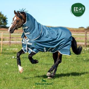aaroj0-ctj0-outdoor-horse-blanket-horseware-amigo-ameco-12-plus-turnout-0g-teal
