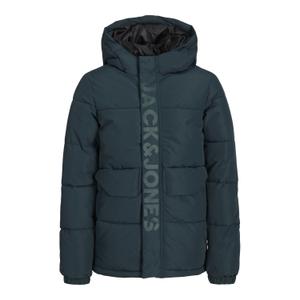 12246122-4520585-children-s-down-jacket-jack-jones-speed-magical-forest