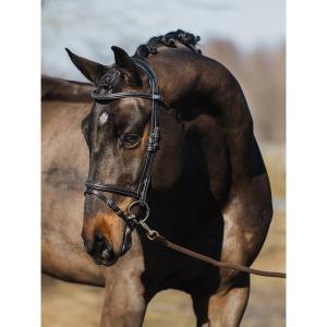 1210-015-995-riding-bridle-ps-of-sweden-stockholm-black-leather