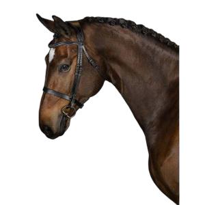 1210-016-995-riding-bridle-ps-of-sweden-wellington-black-leather