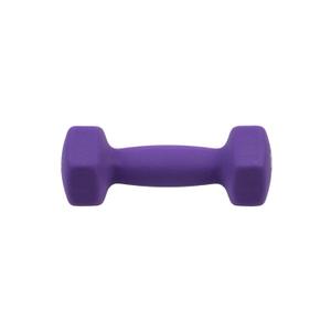 112001-3016-fitness-dumbbell-punch-purple-2-kg