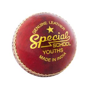 ctb108y-children-s-cricket-ball-readers-special-school-red-one-size