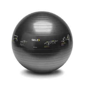 509-training-ball-sklz-trainer-sport-performance-black-one-size