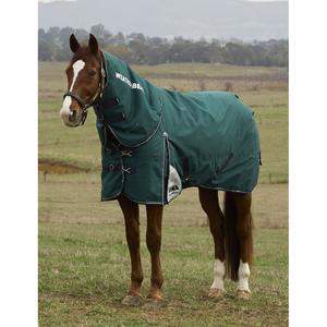 1029003001-removable-neck-outdoor-horse-rug-weatherbeeta-comfitec-plus-dynamic-100g-forest-green-navy